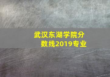 武汉东湖学院分数线2019专业