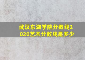 武汉东湖学院分数线2020艺术分数线是多少