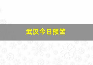 武汉今日预警