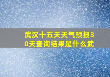 武汉十五天天气预报30天查询结果是什么武