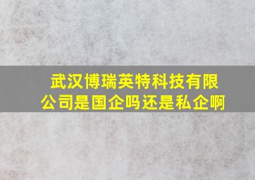 武汉博瑞英特科技有限公司是国企吗还是私企啊