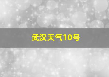 武汉天气10号