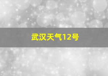 武汉天气12号