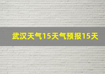 武汉天气15天气预报15天