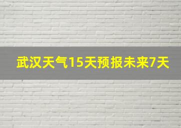 武汉天气15天预报未来7天