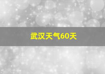 武汉天气60天