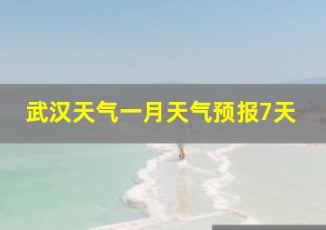 武汉天气一月天气预报7天