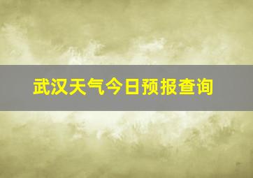 武汉天气今日预报查询