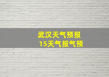 武汉天气预报15天气报气预