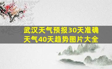 武汉天气预报30天准确天气40天趋势图片大全