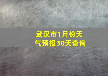 武汉市1月份天气预报30天查询