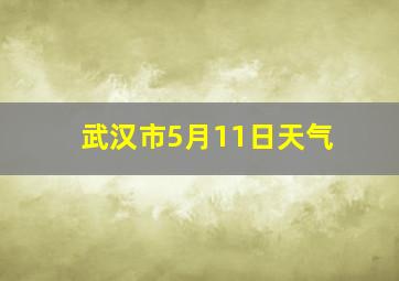 武汉市5月11日天气