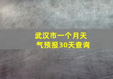 武汉市一个月天气预报30天查询