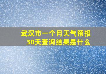 武汉市一个月天气预报30天查询结果是什么