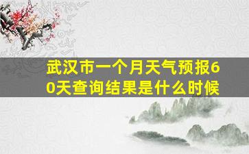 武汉市一个月天气预报60天查询结果是什么时候