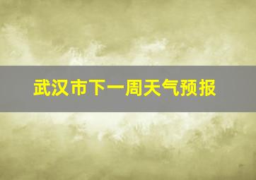 武汉市下一周天气预报