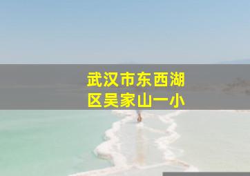 武汉市东西湖区吴家山一小