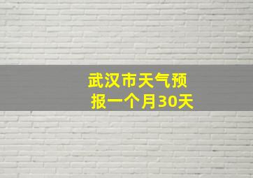 武汉市天气预报一个月30天