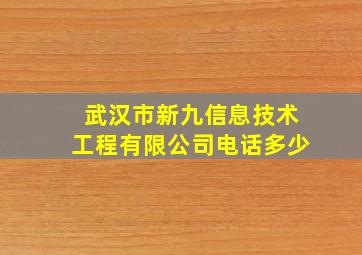 武汉市新九信息技术工程有限公司电话多少