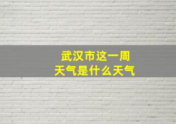 武汉市这一周天气是什么天气