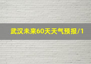 武汉未来60天天气预报/1