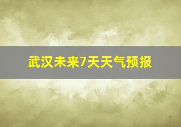 武汉未来7天天气预报