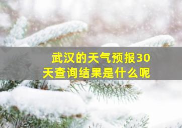 武汉的天气预报30天查询结果是什么呢