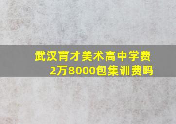 武汉育才美术高中学费2万8000包集训费吗