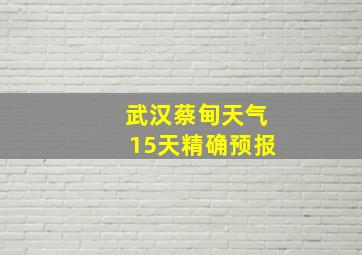 武汉蔡甸天气15天精确预报