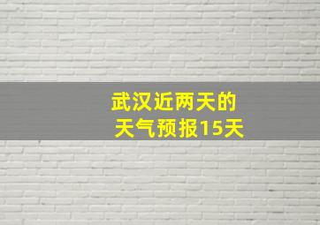 武汉近两天的天气预报15天