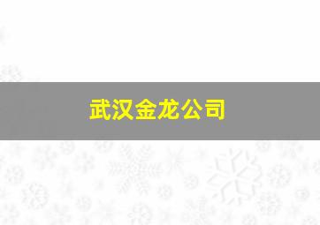 武汉金龙公司