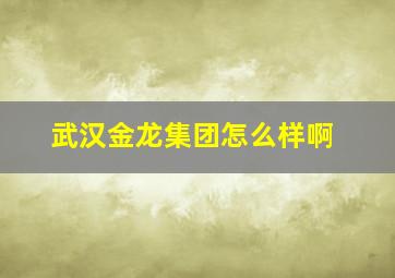 武汉金龙集团怎么样啊