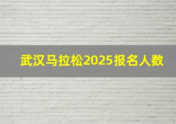 武汉马拉松2025报名人数