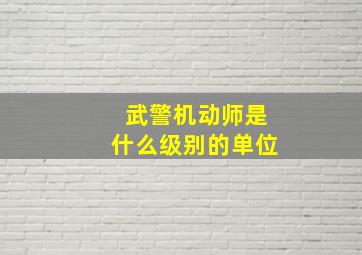 武警机动师是什么级别的单位