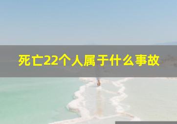 死亡22个人属于什么事故