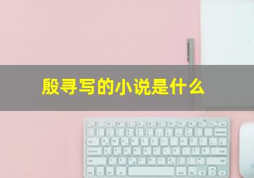 殷寻写的小说是什么