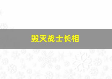 毁灭战士长相