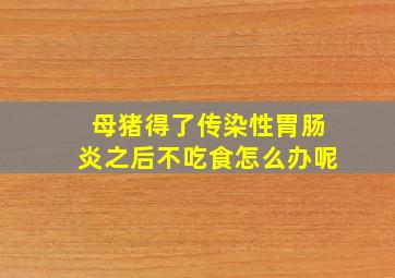 母猪得了传染性胃肠炎之后不吃食怎么办呢