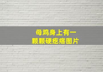 母鸡身上有一颗颗硬疙瘩图片