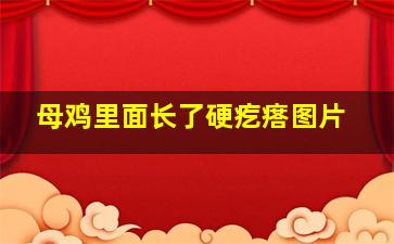 母鸡里面长了硬疙瘩图片