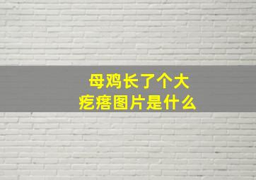 母鸡长了个大疙瘩图片是什么