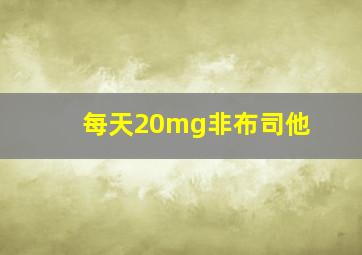 每天20mg非布司他