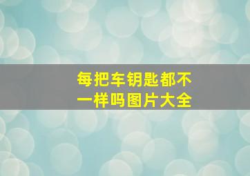 每把车钥匙都不一样吗图片大全