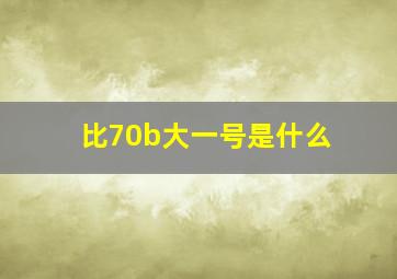 比70b大一号是什么