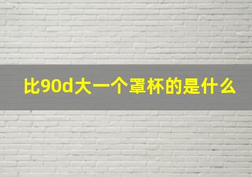 比90d大一个罩杯的是什么