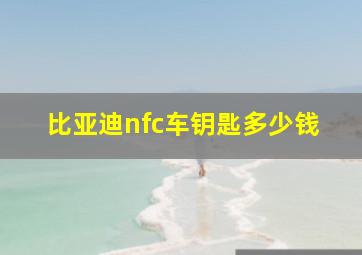 比亚迪nfc车钥匙多少钱