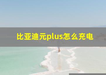 比亚迪元plus怎么充电