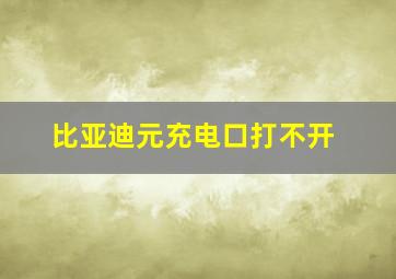 比亚迪元充电口打不开