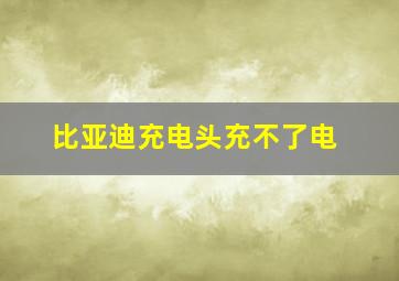 比亚迪充电头充不了电