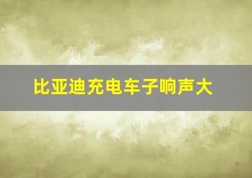 比亚迪充电车子响声大